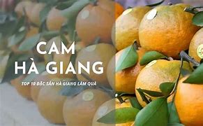 Cam Hà Giang Giá Bảo Nhiều