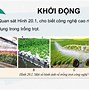 Công Nghệ Trồng Trọt 10 Bài 12