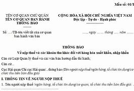 Thời Hạn Nộp Thuế Hàng Nhập Khẩu